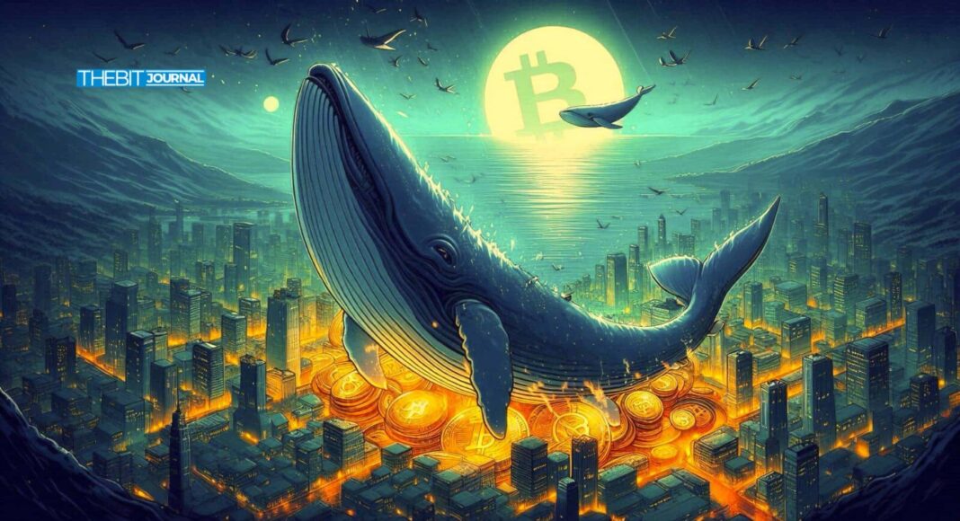 Bitcoin Whales Move $2B in BTC After 14-Year Silence
